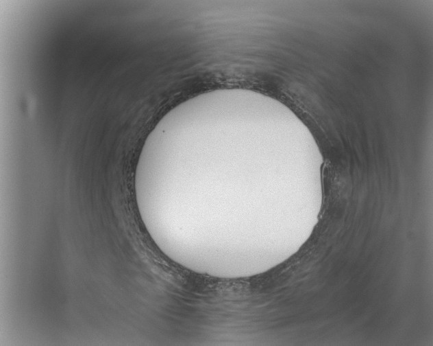 X0000069800865200606021437