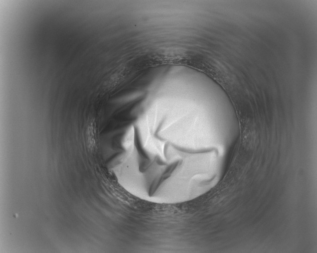 X0000069800866200606021437