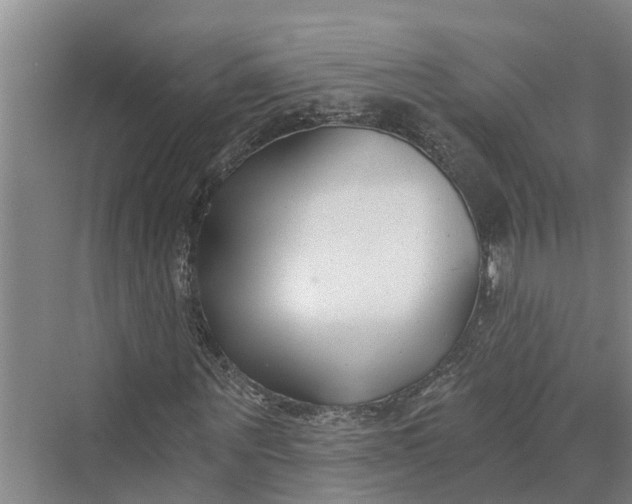 X0000069800867200606021437