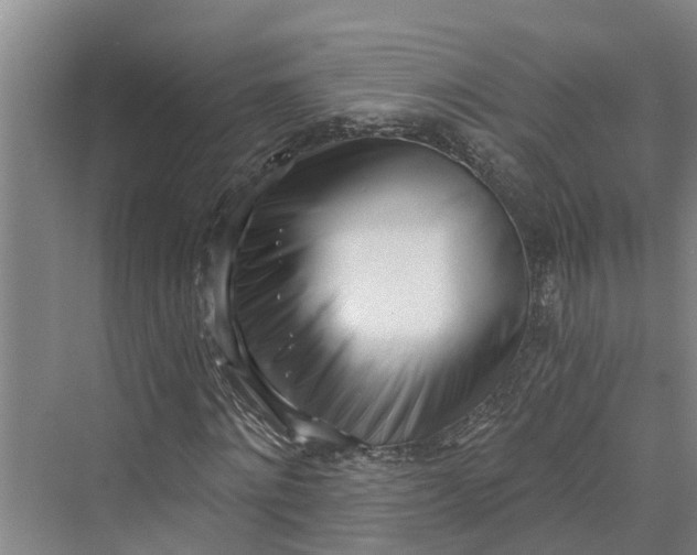 X0000069800868200606021437