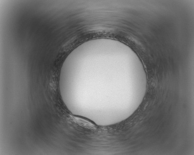 X0000069800869200606021437