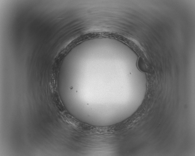 X0000069800871200606021437