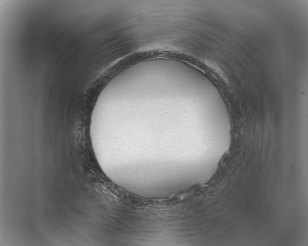 X0000069800872200606021437