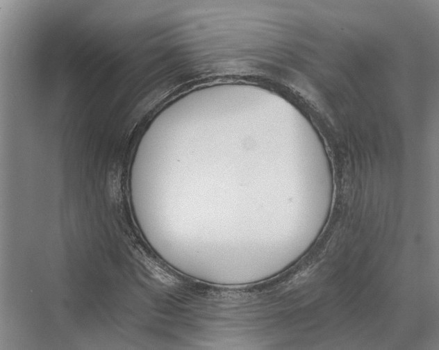 X0000069800873200606021436