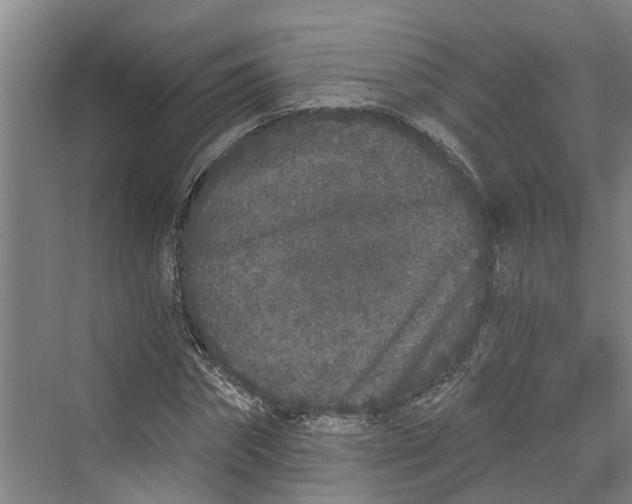 X0000069800874200606021436