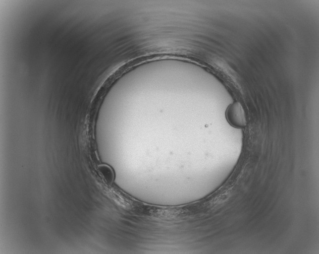 X0000069800875200606021436