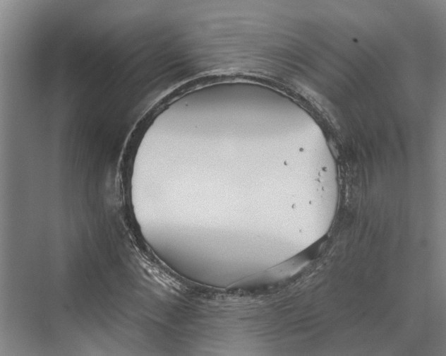 X0000069800876200606021436