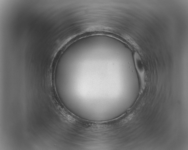 X0000069800877200606021436