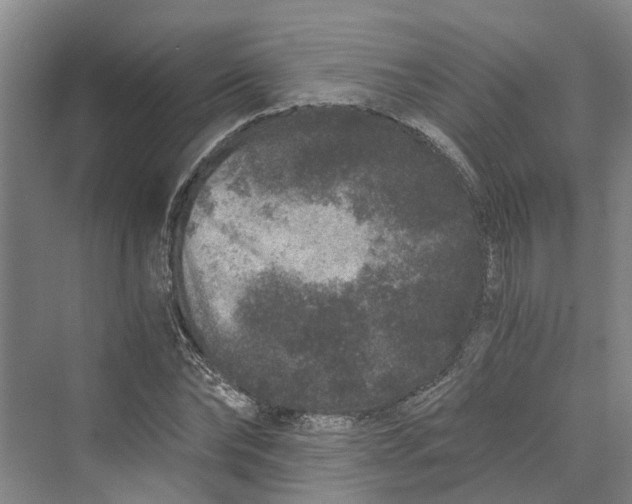 X0000069800878200606021436