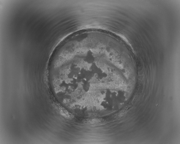 X0000069800879200606021436