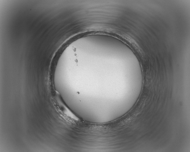 X0000069800880200606021436