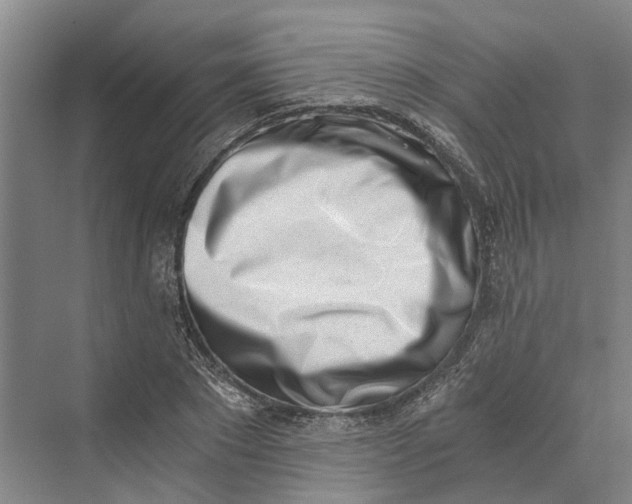 X0000069800881200606021436