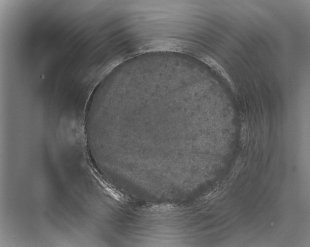 X0000069800882200606021436