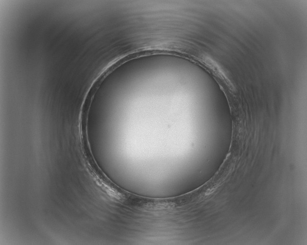 X0000069800884200606021436