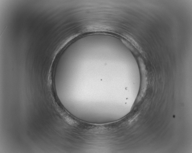 X0000069800885200606021436