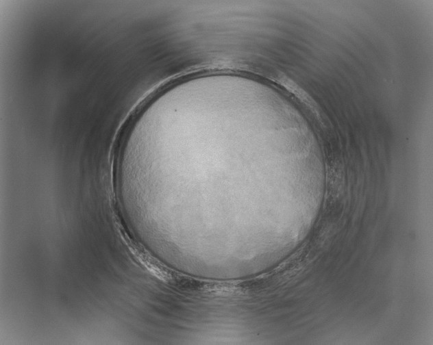 X0000069800886200606021436