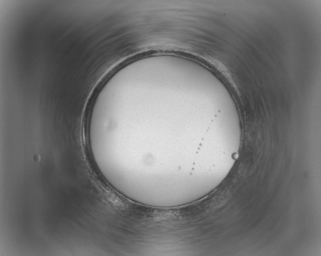 X0000069800887200606021436