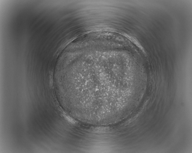 X0000069800889200606021436