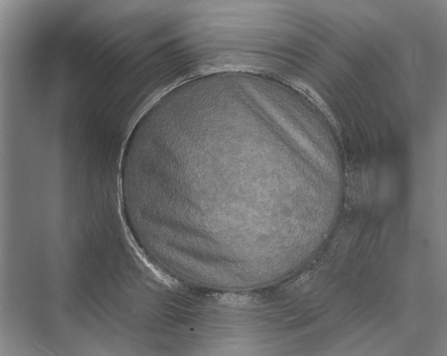 X0000069800890200606021436