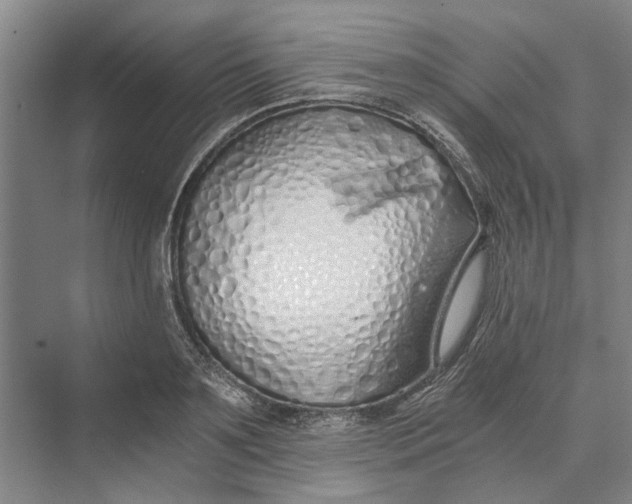 X0000069800891200606021436