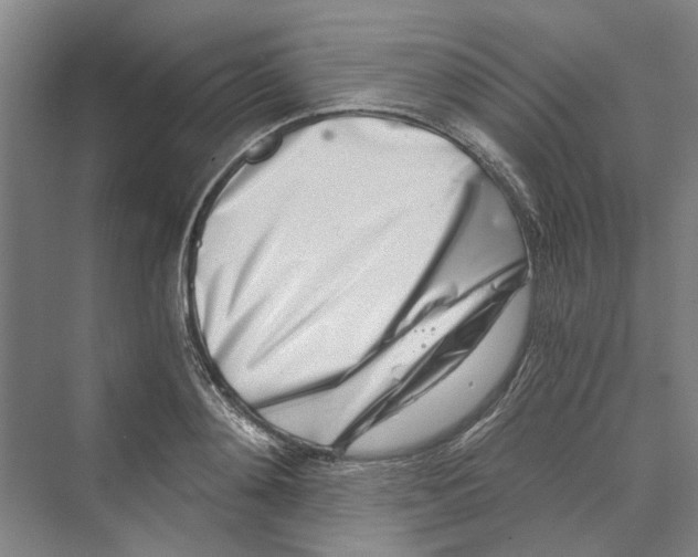 X0000069800892200606021436