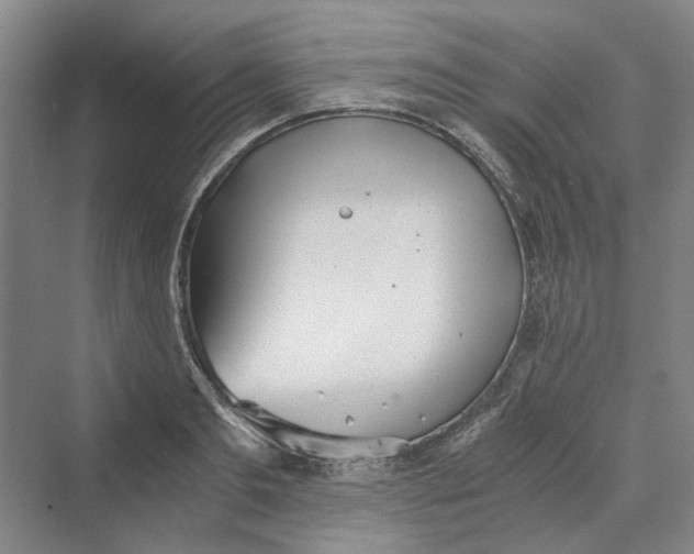 X0000069800893200606021436