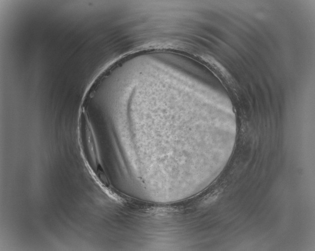 X0000069800894200606021436