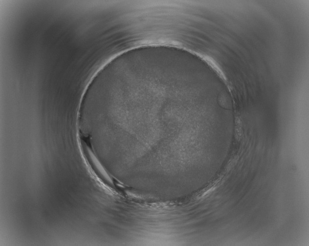 X0000069800895200606021436