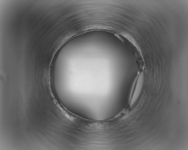 X0000069800898200606021436