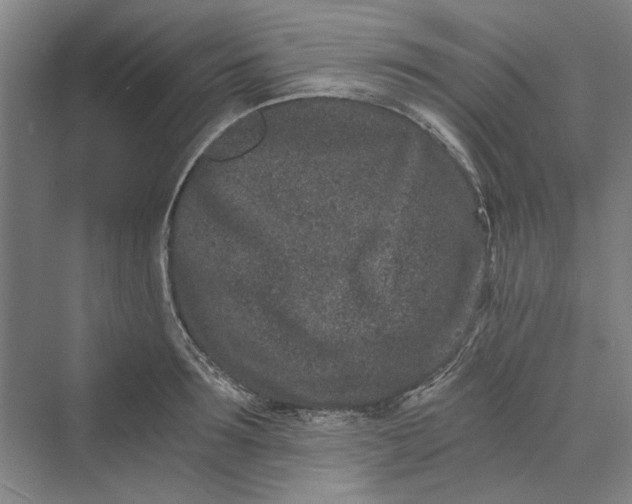 X0000069800899200606021436