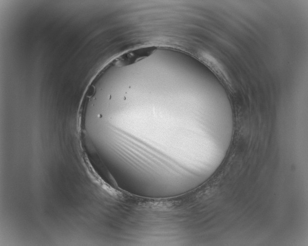 X0000069800900200606021436