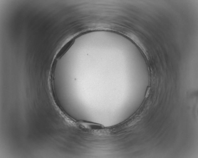 X0000069800901200606021436