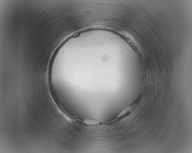 X0000069800902200606021436