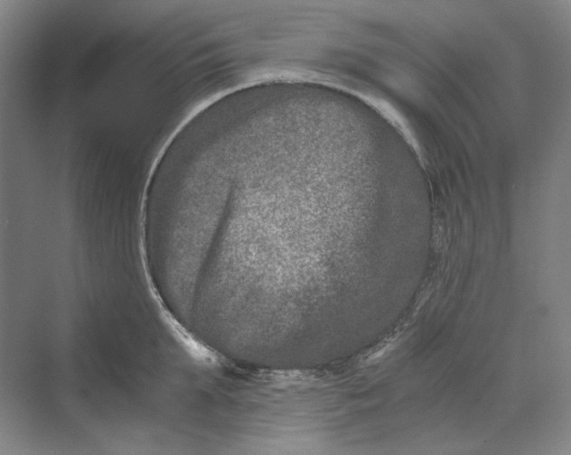 X0000069800903200606021436