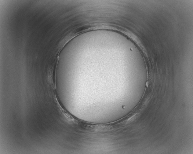 X0000069800905200606021436