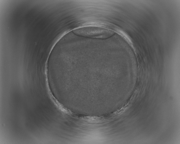 X0000069800907200606021436