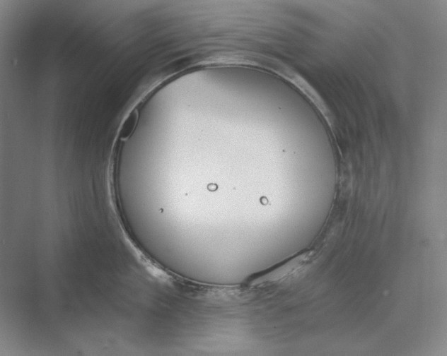 X0000069800909200606021436