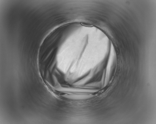 X0000069800910200606021436