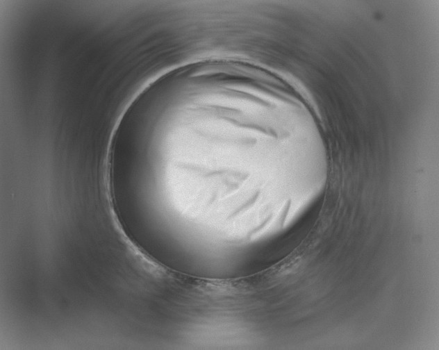 X0000069800911200606021436