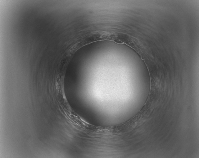 X0000069800914200606021435