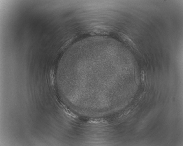 X0000069800915200606021435