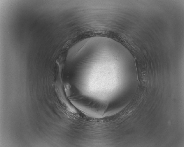 X0000069800916200606021435