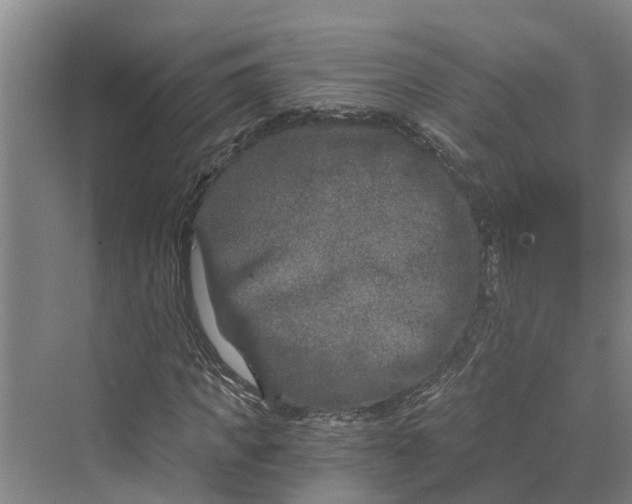 X0000069800917200606021435