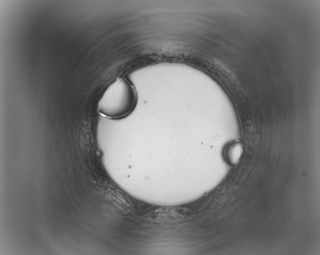 X0000069800918200606021435