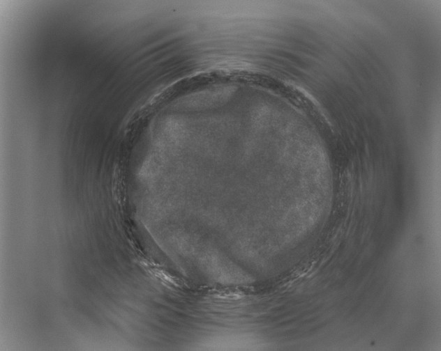 X0000069800919200606021435