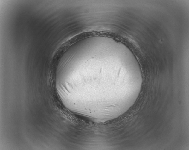 X0000069800920200606021435