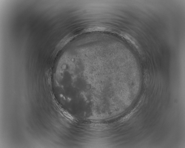 X0000069800921200606021435