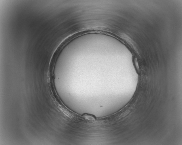 X0000069800924200606021435