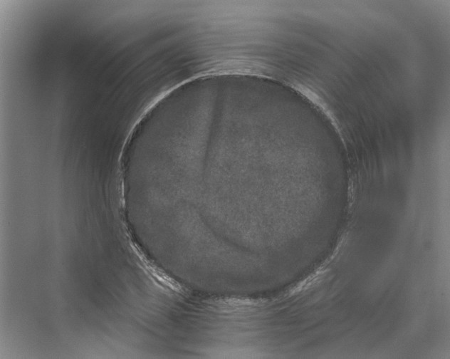 X0000069800925200606021435