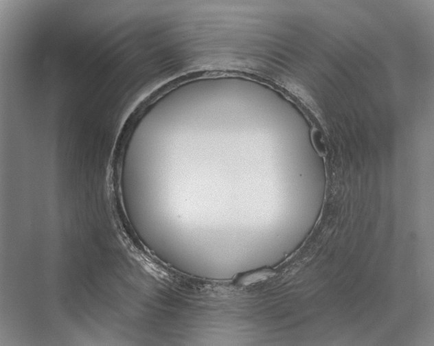 X0000069800928200606021435